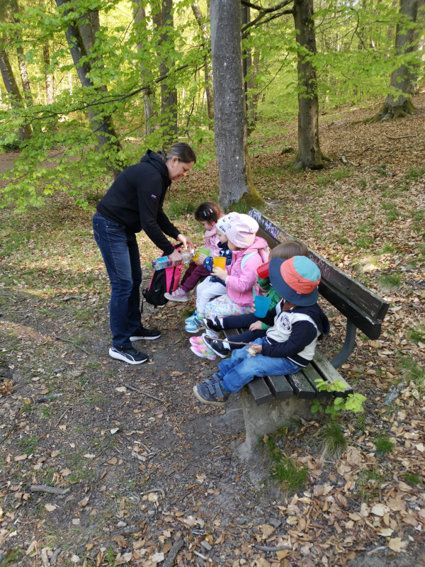 Wir im Wald